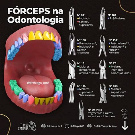 forceps odontologia-1